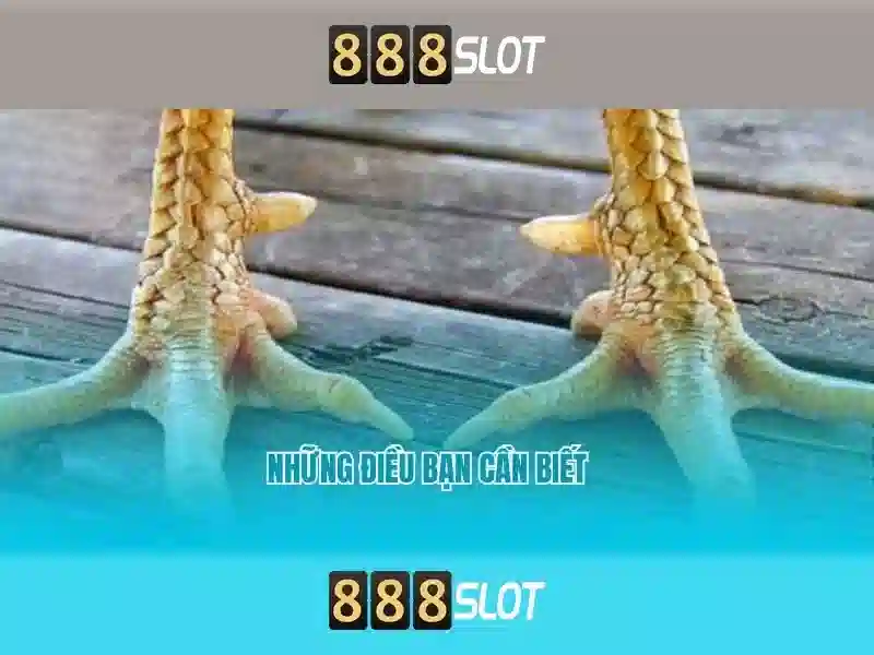 Khuyến Mãi Slot Độc Quyền