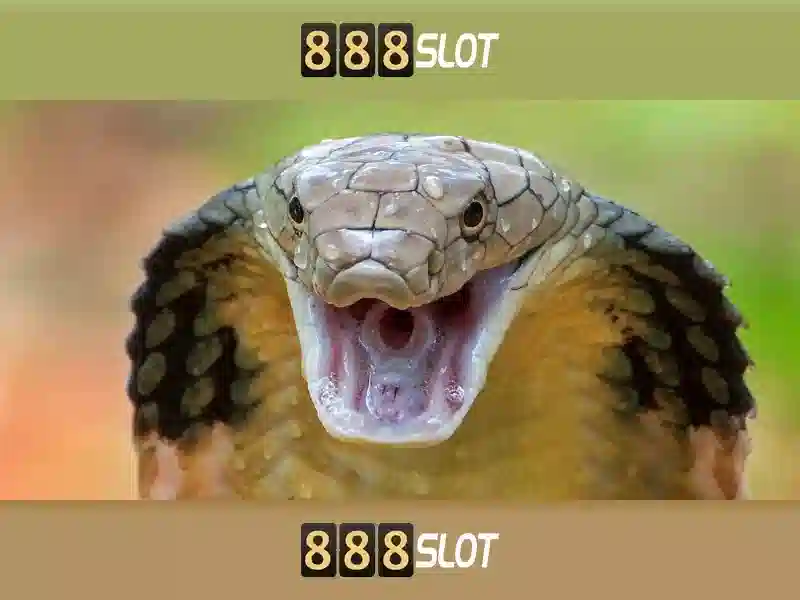 Đăng Nhập 888 Slot Login