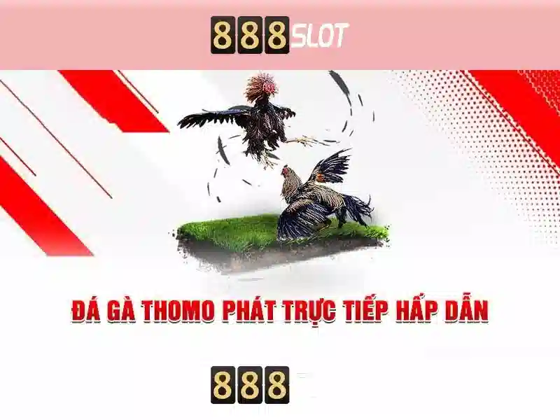 Hướng Dẫn Chơi Slot 5