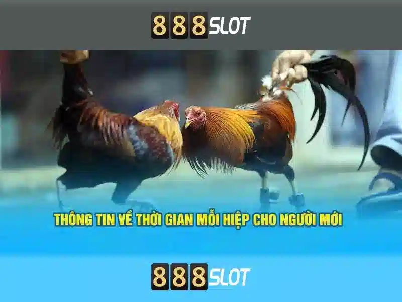 888 Slot Vip – Trải Nghiệm Đỉnh Cao Cho Người Chơi Cao Cấp