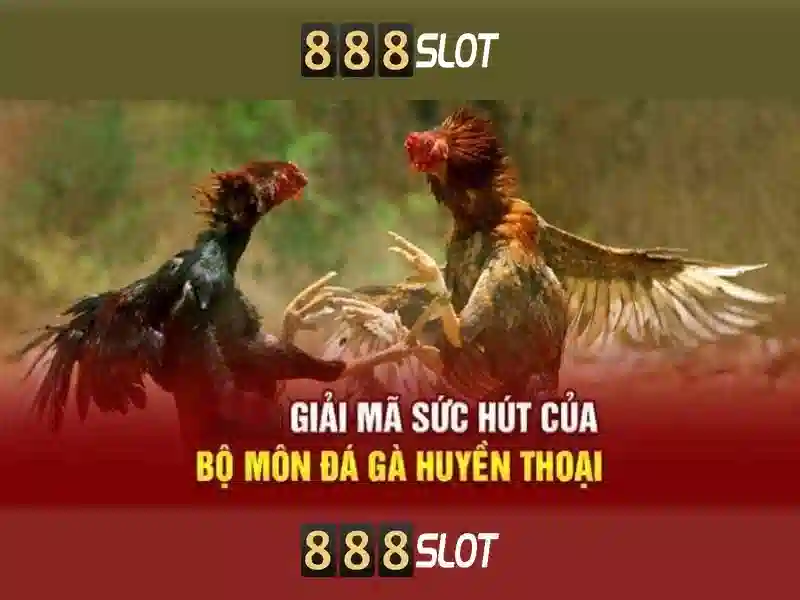 apk 888slot apk