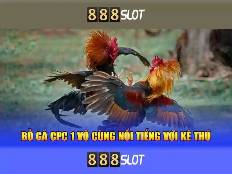 đặc điểm nổi bật