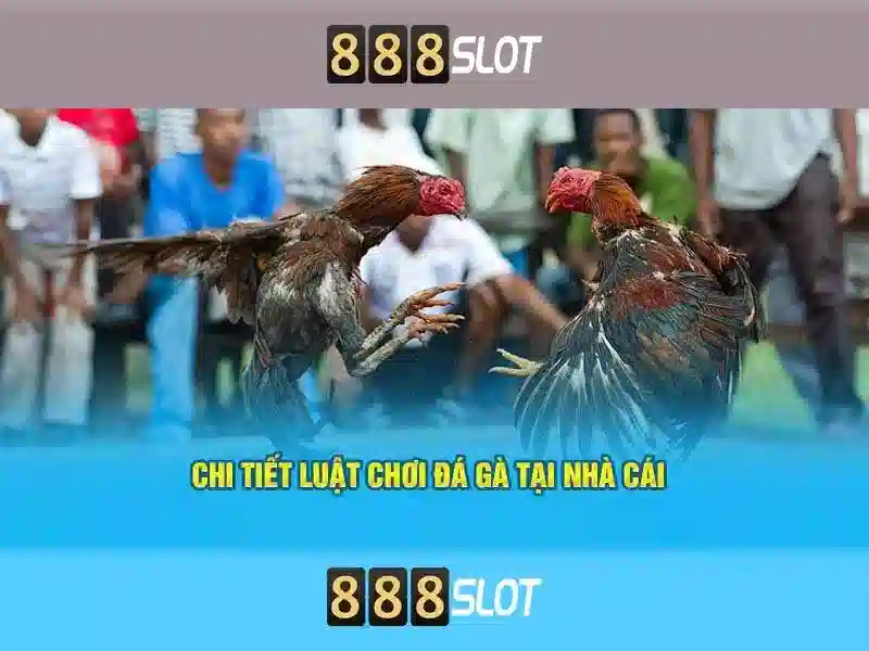 888SLOT – Trải Nghiệm Slot Đỉnh Cao 2026 | http 888slot cc