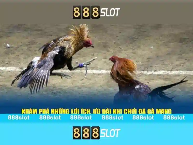 Giới Thiệu Về 888slot Com Đăng Nhập Slot365