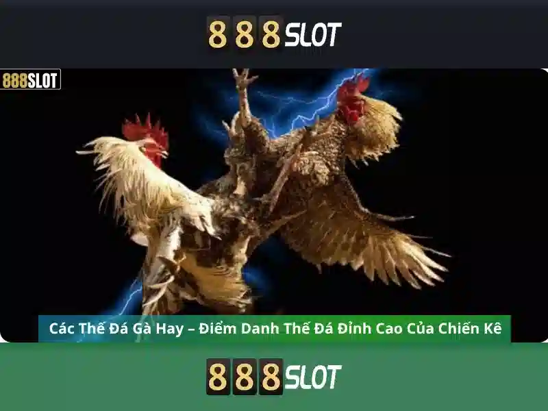 Ưu Điểm Nổi Bật 888SLOT
