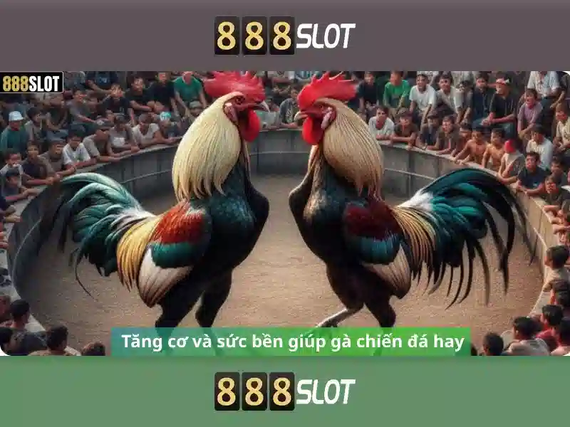 Khuyến mãi độc quyền 888slot