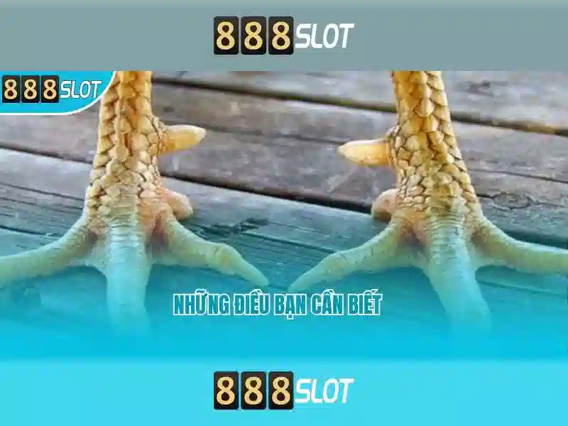 Ưu Điểm Nghiêm Túc