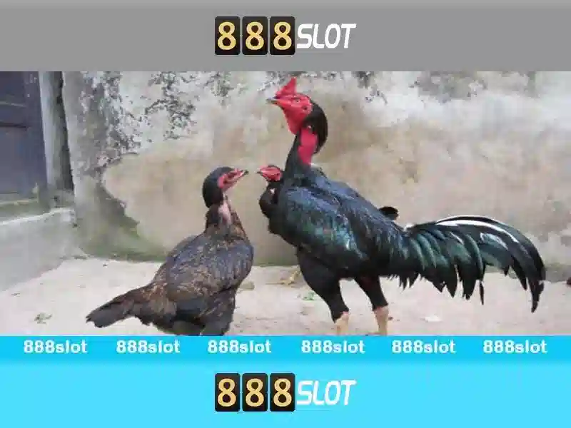 trò chơi slot 888