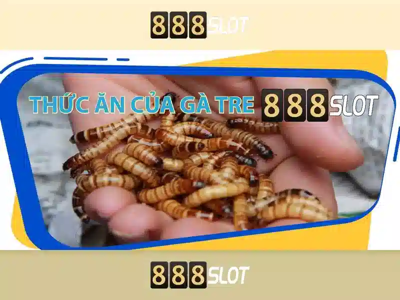 trò chơi slot 888slot