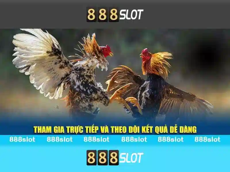 Tại sao nên chọn 888SLOT 2026