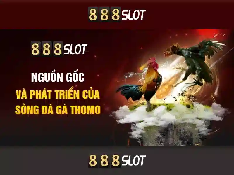 888SLOT – Mã Nhận Thưởng 888slot 2026 | Hướng Dẫn Sử Dụng & Ưu Đãi Slot