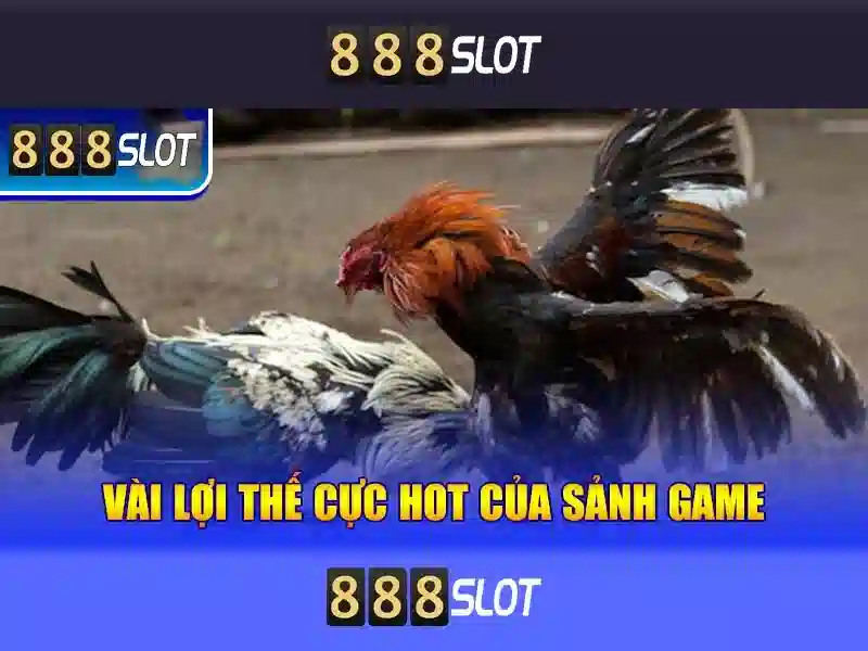 Điều Khoản Và Chính Sách Sử Dụng 888SLOT