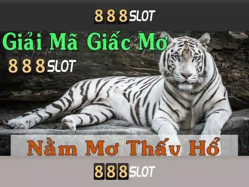 Chính sách an toàn cho người chơi 888SLOT