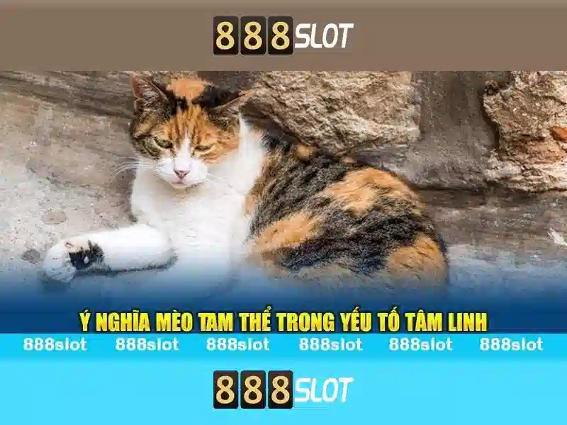 888slot link alternatif – Các lựa chọn thay thế an toàn
