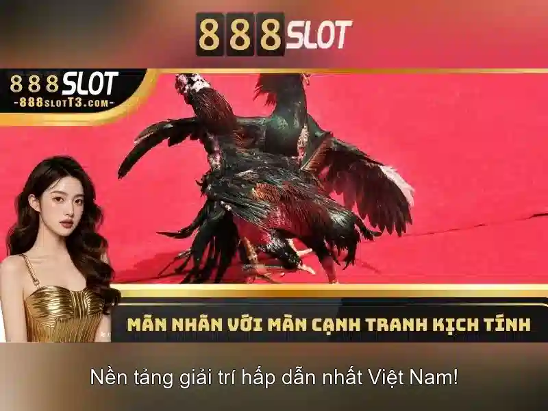 Trải nghiệm Slot 888SLOT