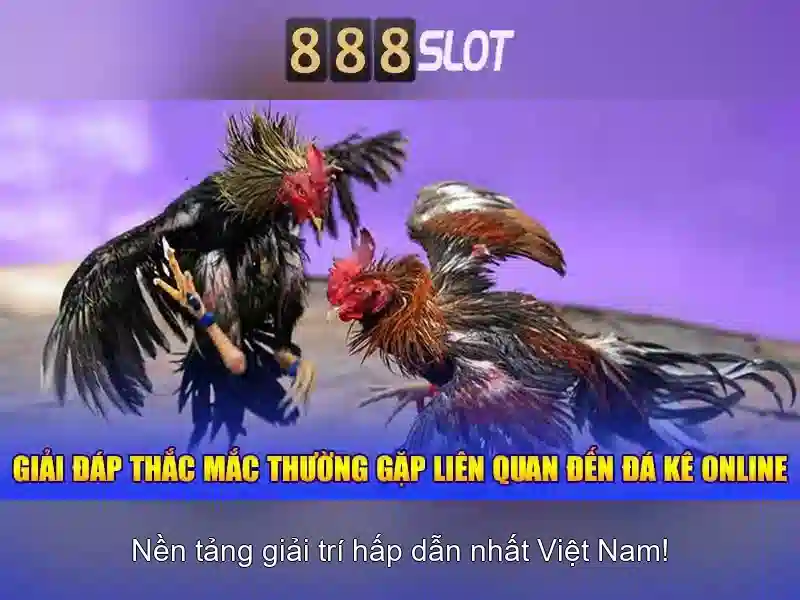 tỷ lệ thưởng cao
