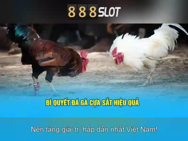 Hướng dẫn tải ứng dụng 888SLOT