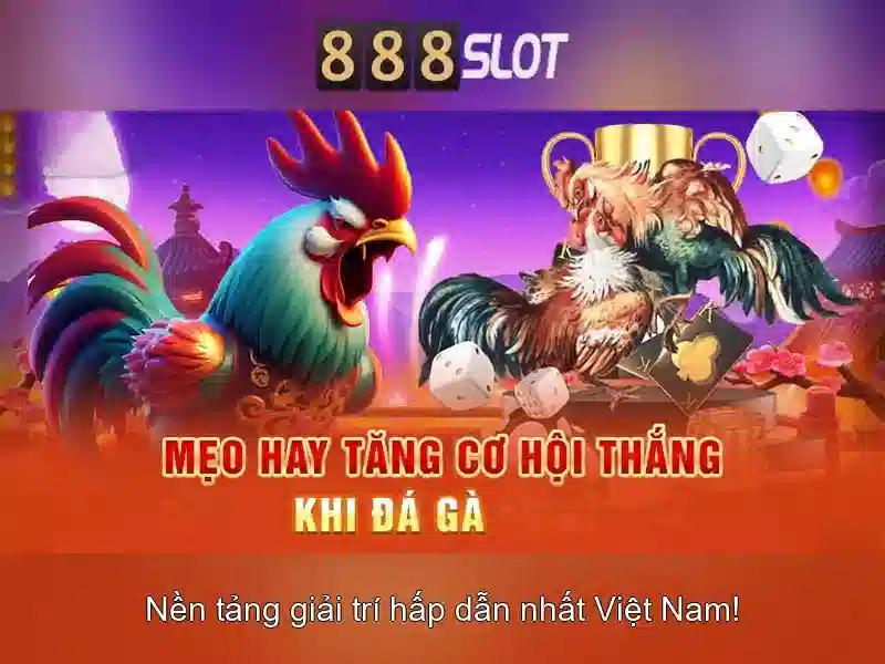 Trải nghiệm cá cược đỉnh cao