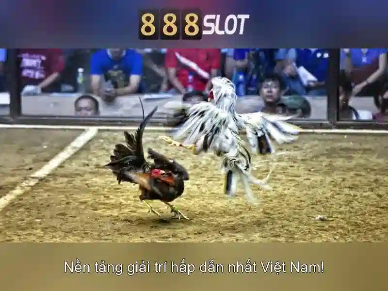 Tải App 888 Slot Đơn Giản Và Nhanh Chóng