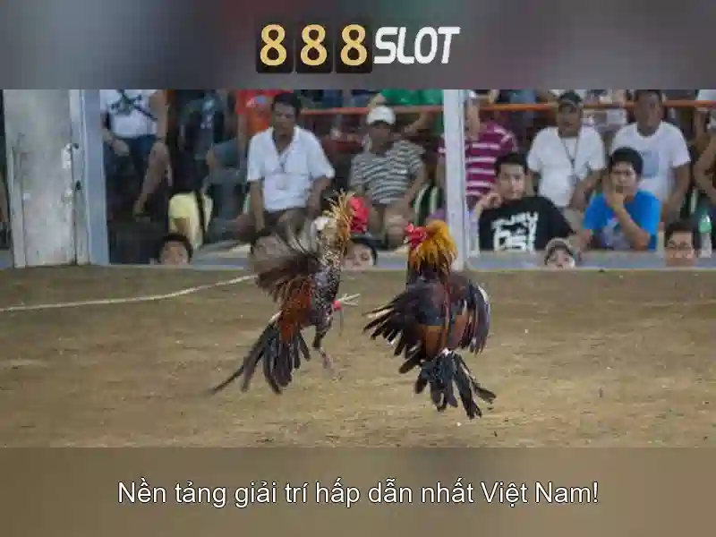 888SLOT – Trải Nghiệm Đỉnh Cao Với Nổ Hũ, Casino, Bắn Cá & Thể Thao 2026